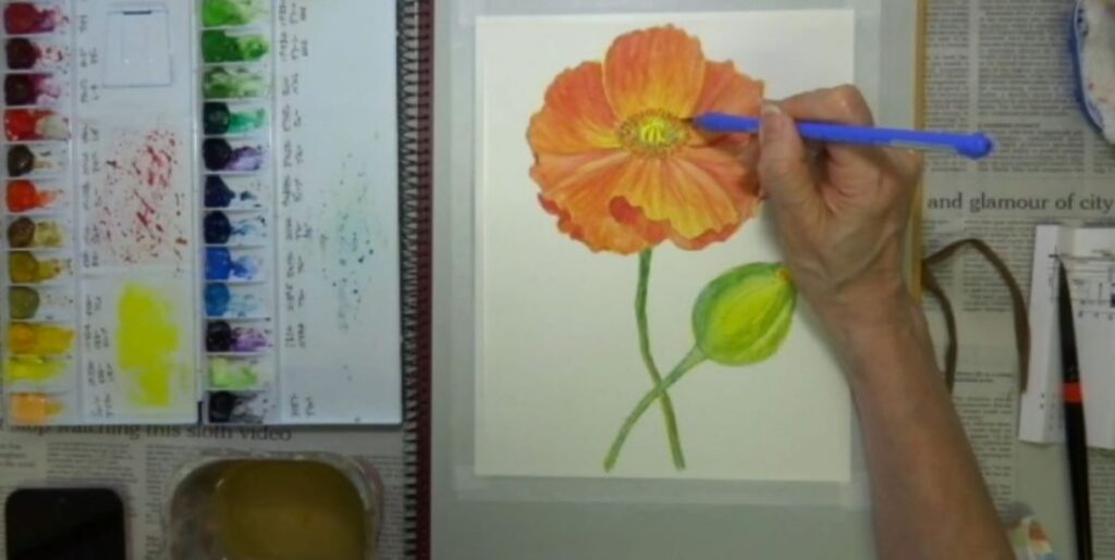 水彩画 簡単な花の書き方 ポピー編　おしべを描きこむ