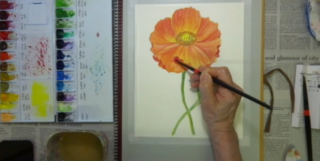 水彩画 簡単な花の書き方 ポピー編　仕上げ