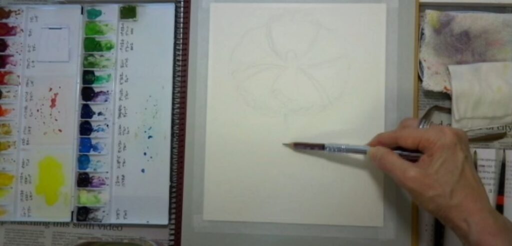 水彩画 簡単な花の書き方 ポピー編　鉛筆で下描き