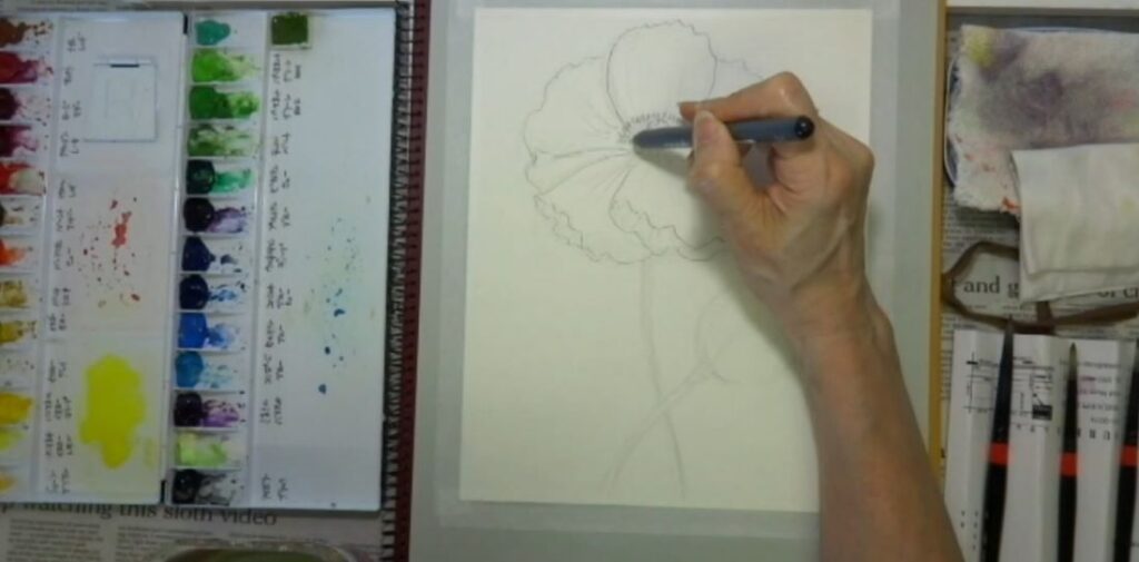 水彩画 簡単な花の書き方 ポピー編　鉛筆の上からペンで書く