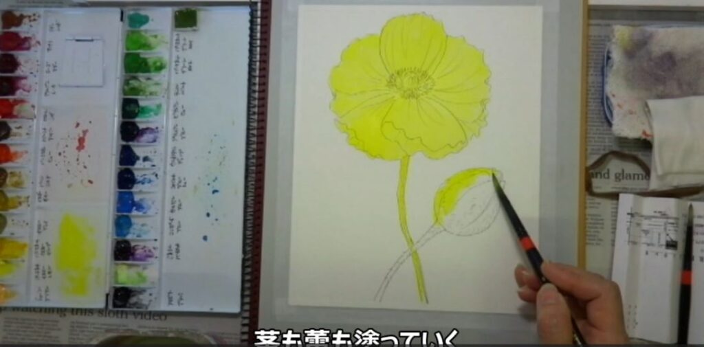 水彩画 簡単な花の書き方 ポピー編　全体にイエローを塗る