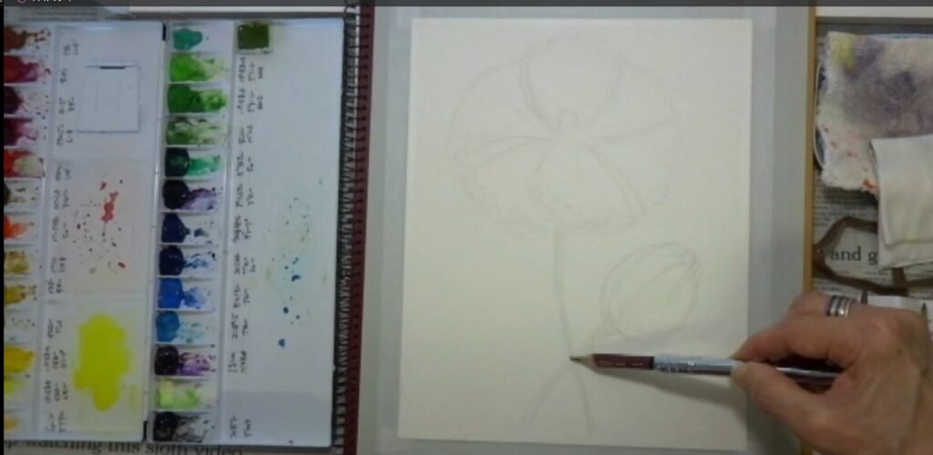 水彩画 簡単な花の書き方 ポピー編　鉛筆で下描き