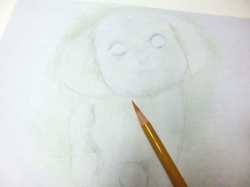 【色鉛筆 犬の描き方】可愛いペットを簡単に描いてみよう　白で描いた毛に垂直にオークル系の色を塗っていく