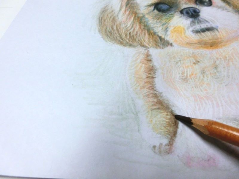 【色鉛筆 犬の描き方】可愛いペットを簡単に描いてみよう　更に足の部分の陰を描く