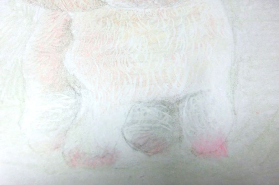 【色鉛筆 犬の描き方】可愛いペットを簡単に描いてみよう　爪を描く