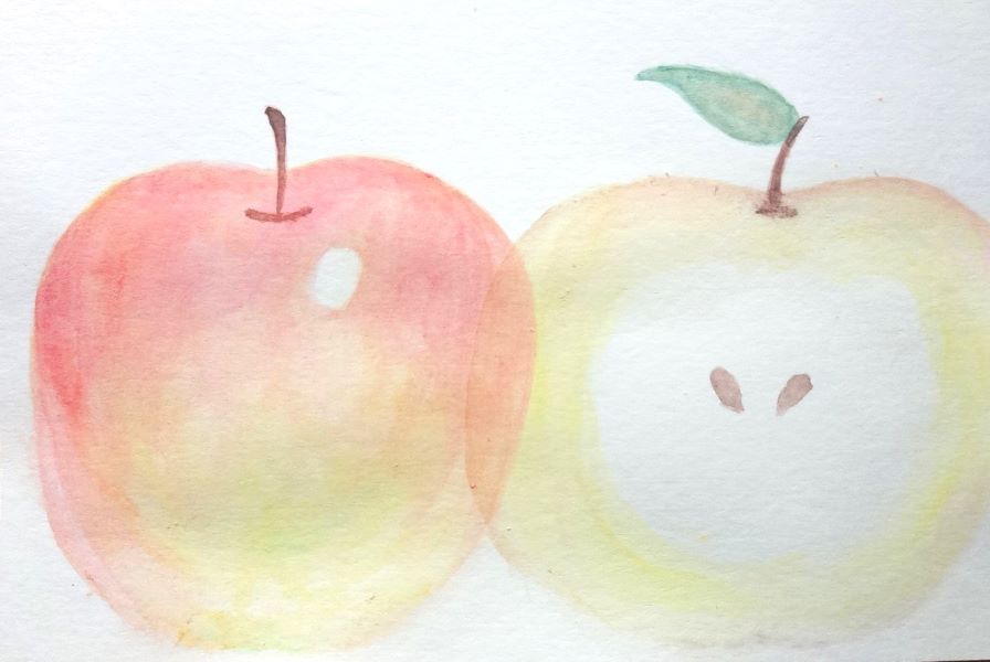 オンライン絵画教室　水彩色鉛筆画　リンゴ
