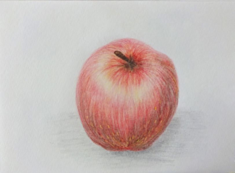 オンライン絵画教室　色鉛筆画　リンゴ