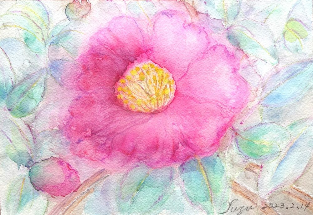 水彩色鉛筆画の紙がふやける　花の絵