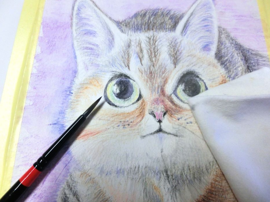 水彩色鉛筆で猫を描く