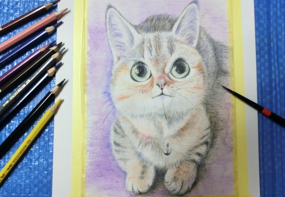 水彩色鉛筆で猫を描く