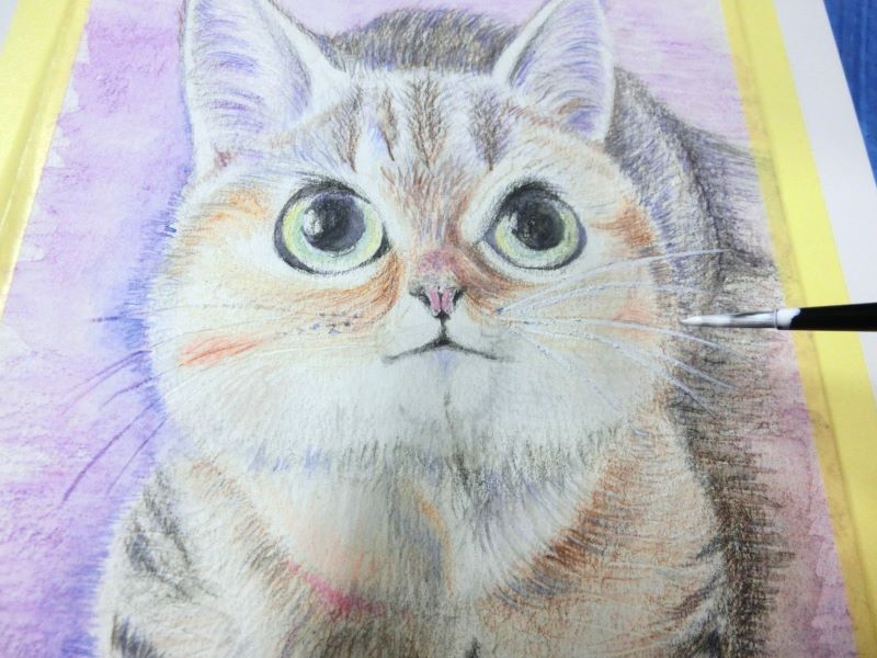 水彩色鉛筆で猫を描く