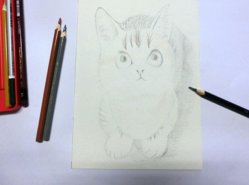 水彩色鉛筆で猫を描く