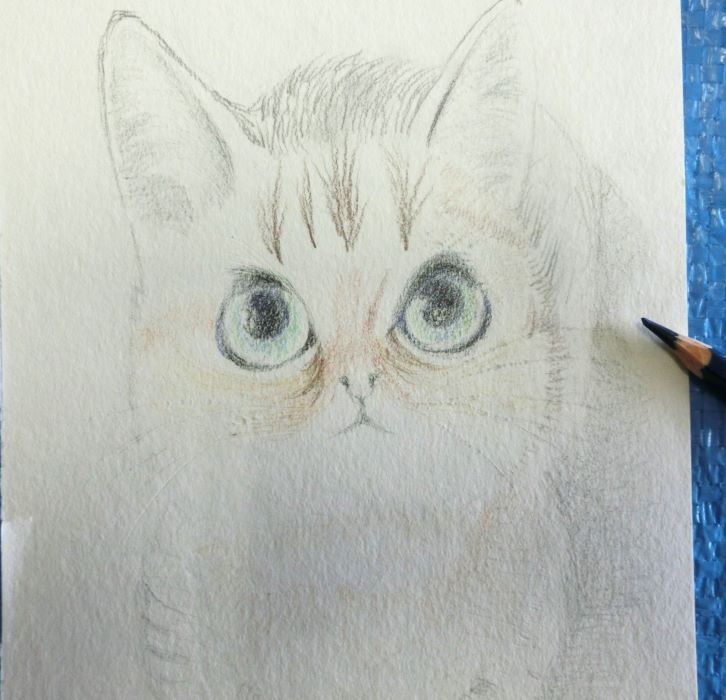 水彩色鉛筆で猫を描く