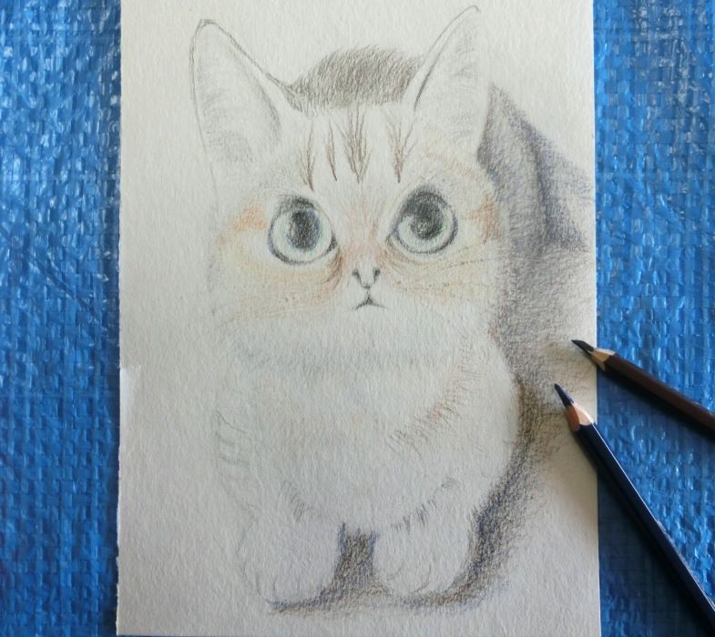 水彩色鉛筆で猫を描く