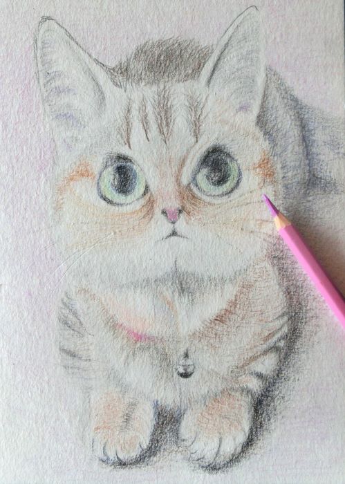 水彩色鉛筆で猫を描く